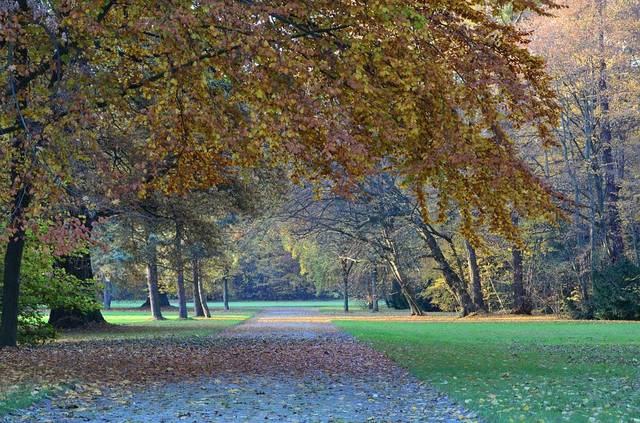 Autumn Kassel Karlsaue
