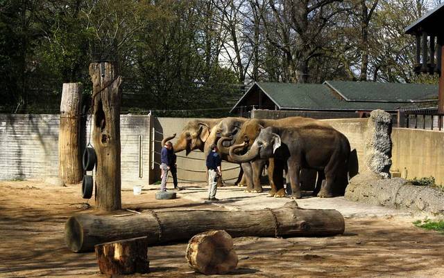 Karlsruhe City Garden Zoo