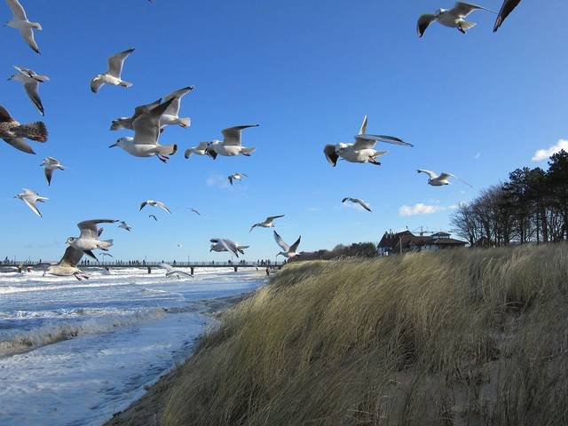 Baltic Sea Zingst