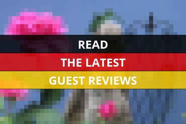 www.no31.de - check out latest independent reviews