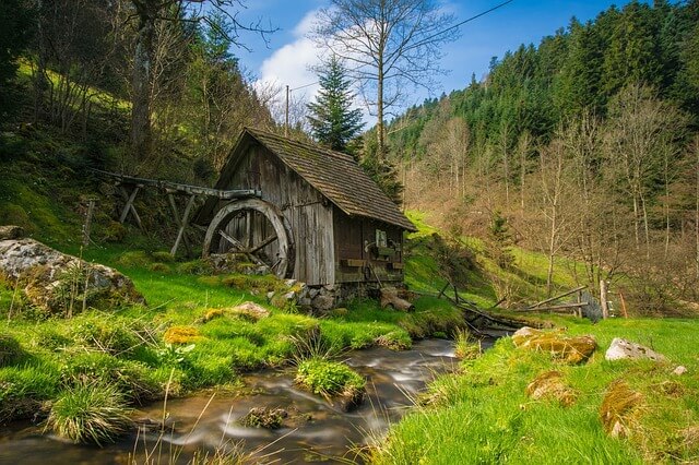 The Black Forest